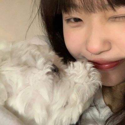 熊猫博士果蔬园游戏下载